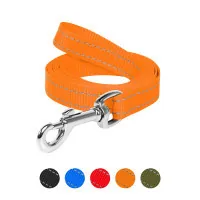 Leash for dogs Dog Extreme made of nylon W 20 mm L 200 cm orange (04634)