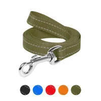Dog Extreme nylon leash W 20 mm L 200 cm khaki (046331)