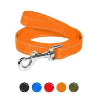 Dog Extreme nylon double leash W 25 mm L 122 cm orange (42994)