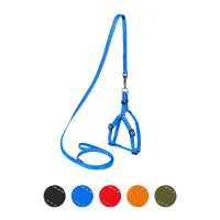 Harness for dogs Dog Extreme made of nylon adjustable with leash W 15 mm H: 40-55 cm blue (07032)