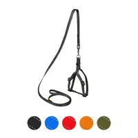 Dog Extreme nylon harness adjustable with leash W 15 mm H: 40-55 cm black (07031)