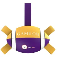 MISOKO&CO Dog Toy Inflatable Rugby Ball Purple with Yellow 41cm (KINMSK70118)