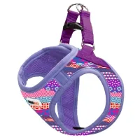 Dog harness MISOKO&CO purple with XS pattern (DCAMIS307V-XS)