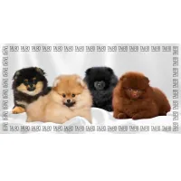 Towel for animals Tauro Pro Line made of microfiber highly absorbent with Pomeranian Spitz 80x160 cm (TPLRAN70316)