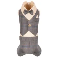 Costume for animals Pet Fashion Happy XS2 (4823082444816)