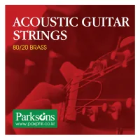 Струни для гітари Parksons Acoustic XL (10-48) (S1048)