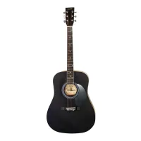 Гітара акустична Maxtone WGC4010 Black (WGC-4010G/BK)