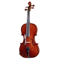 Violin Stentor Student I Violin Outfit 4/4 (1400A2)