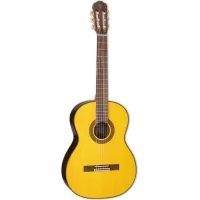 Гітара класична Takamine GC5 NAT (234729)