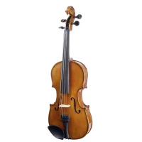Violin Stentor Student II Violin Outfit 1/2 (1500E)
