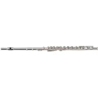Флейта Maxtone TFC60N