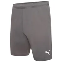 Shorts Puma teamRISE Short 704942-13 gray M (4063699212051)
