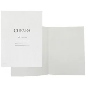 Paper file folder 0.4 (100)