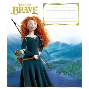 Student's notebook "Schoolboy" 12 sheets == /1776/ "Brave" (30/600)