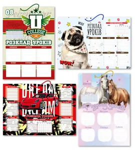 Lesson schedule A3 "Orange" /AP-0802/RU-L-A3/ card sheets 230g/m (32)