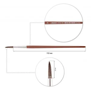 Round pony brush "1B" /310186/ №9 (12/144)