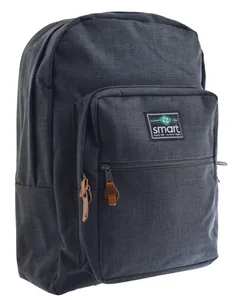 Youth backpack "Smart" /557727/ SG-17 "Mat chrome" (1/12)