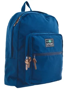 Youth backpack "Smart" /557726/ SG-17 "Cold sea" (1/12)