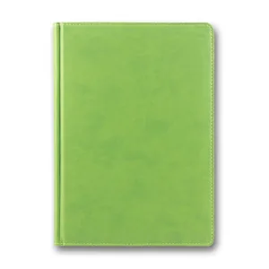 Diary ZV-43 n/d "WINNER" pistachio 168 sheets. == 142x203 (10)