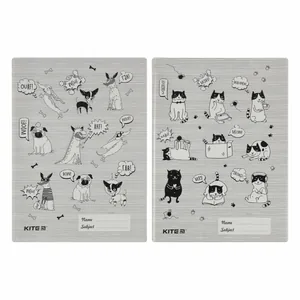 Cover-coloring "Kite" /K20-310/ A4+, PVC.   (1/10/300)