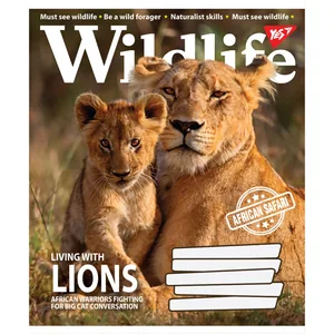 Зошит уч. "YES" 60арк.# /766067/ "Wild life" (10/160)