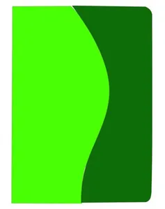 Diary ЗВ-43-К/02а n/date "Kombi" Corolla (Coventry)+Winner pistachio+green 168 sheets. == 142x203 (10)