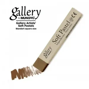 Pastel dry prof. soft /MP-6/ 6pcs/pack 060 vandik brown MUNGYO (1)