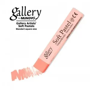Pastel dry prof. soft /MP-6/ 6pcs/pack 037 fluor pink MUNGYO (1)