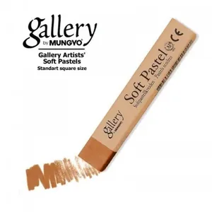 Pastel dry prof. soft /MP-6/ 6pcs/pack 016 burnt ocher MUNGYO (1)
